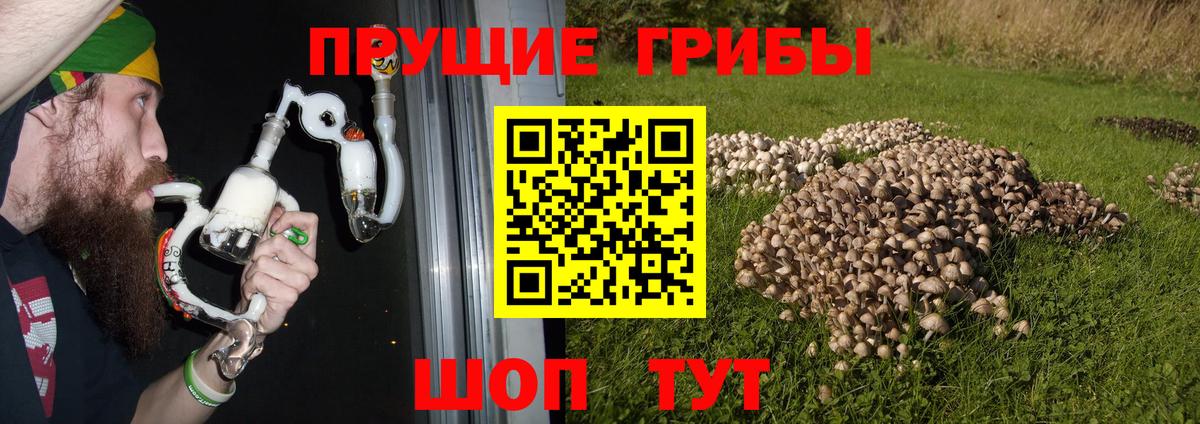 Галлюциногенные грибы мухоморы Скопин