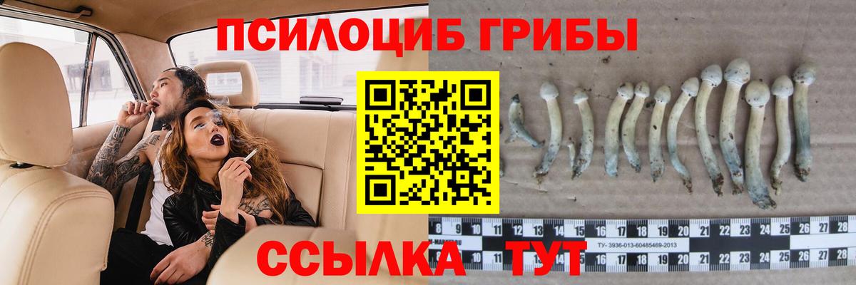 Псилоцибиновые грибы мицелий  Галлюциногенные грибы MAGIC MUSHROOMS  Вход с VPN  Скопин 